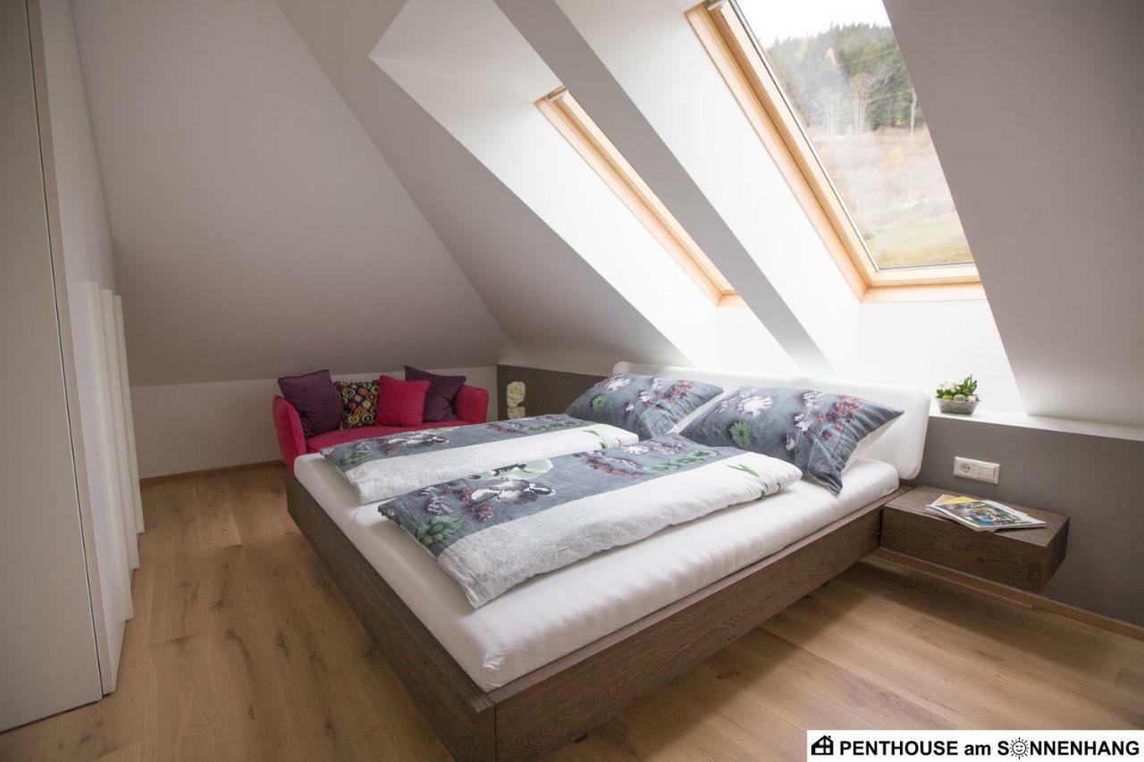 Penthouse Am Sonnenhang Mit Exklusiver Ausstattung Schladming Dış mekan fotoğraf